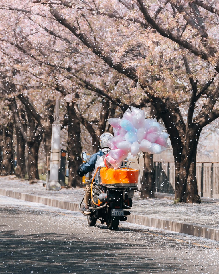A motorcycle riding through blooming trees with a pink pinwheel on the back.