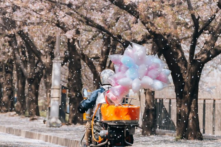 A motorcycle riding through blooming trees with a pink pinwheel on the back.